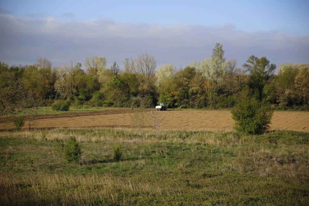 Domaine Villecarla Villedubert Εξωτερικό φωτογραφία
