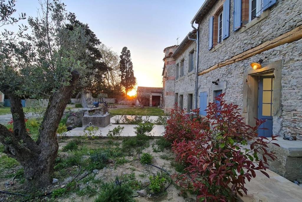 Domaine Villecarla Villedubert Εξωτερικό φωτογραφία